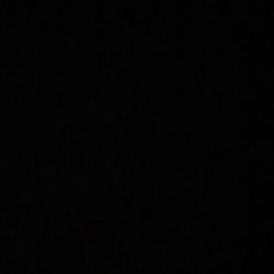 Meet your Posher, Alvin